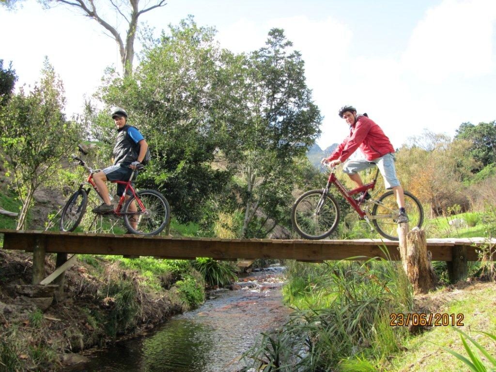 Mountain bikers crossing a wooden bridge in the forest