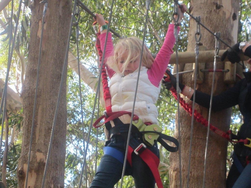 Child on a tree-top rope course